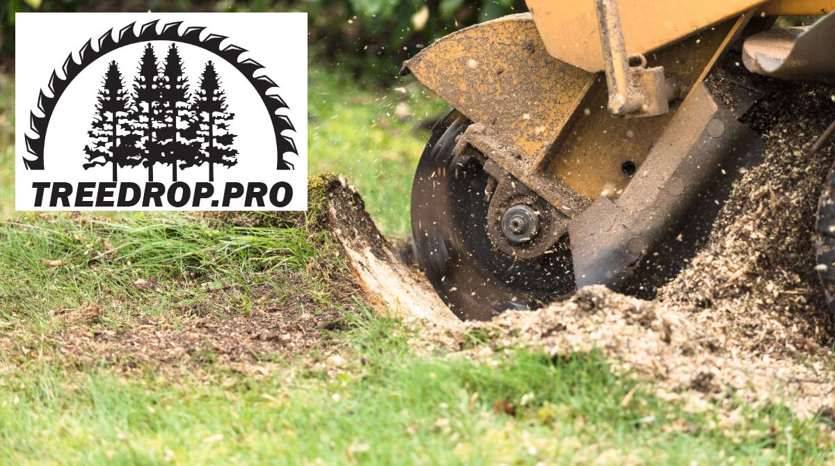 Stump Removal